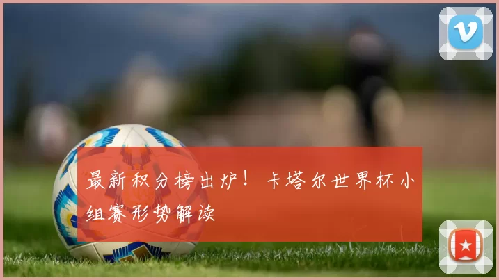 最新积分榜出炉！卡塔尔世界杯小组赛形势解读