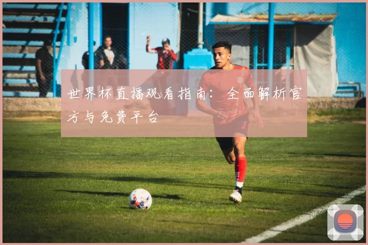 世界杯直播观看指南：全面解析官方与免费平台