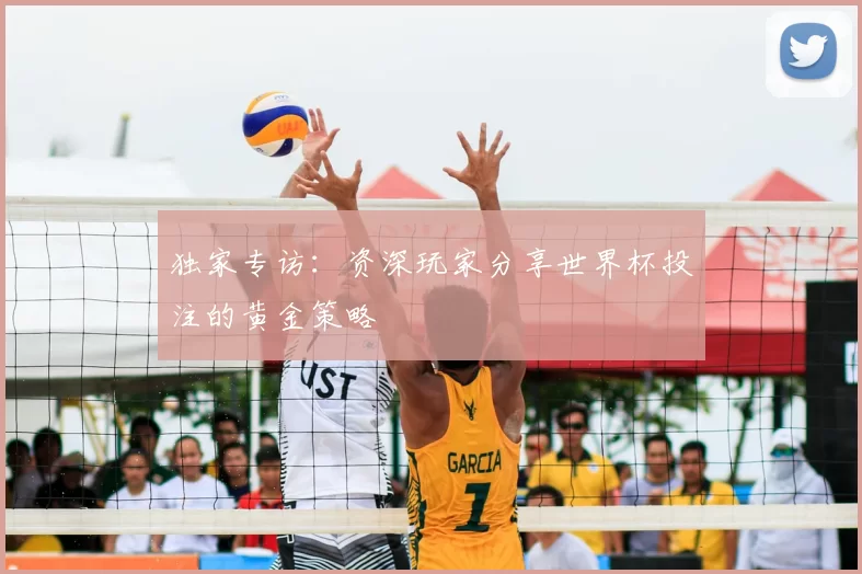 独家专访：资深玩家分享世界杯投注的黄金策略