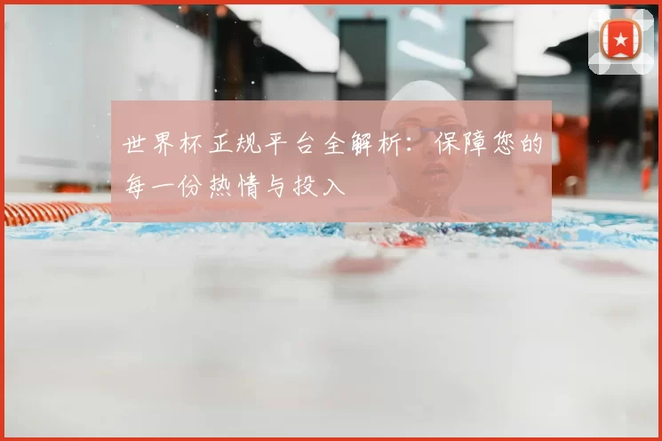 世界杯正规平台全解析：保障您的每一份热情与投入