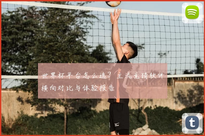 世界杯平台怎么选？主流竞猜软件横向对比与体验报告