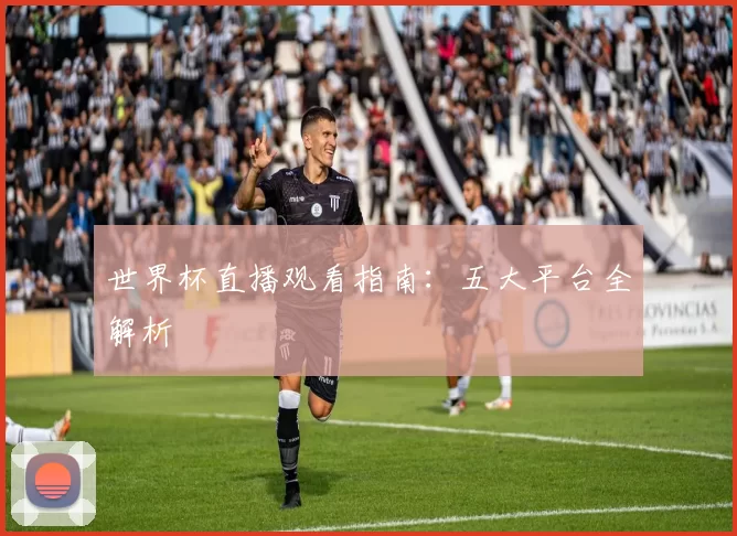 世界杯直播观看指南:五大平台全解析