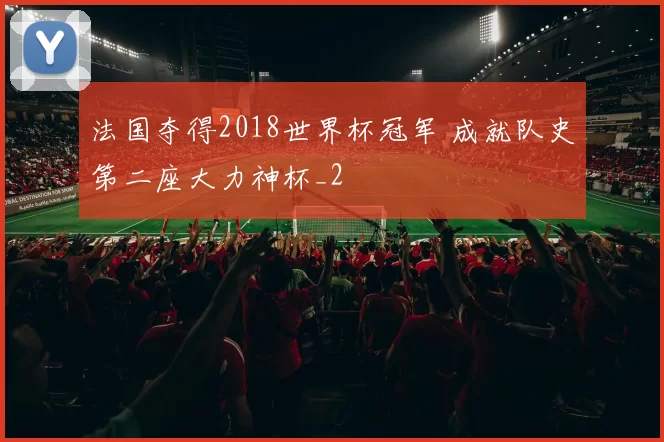 法国夺得2018世界杯冠军 成就队史第二座大力神杯_2