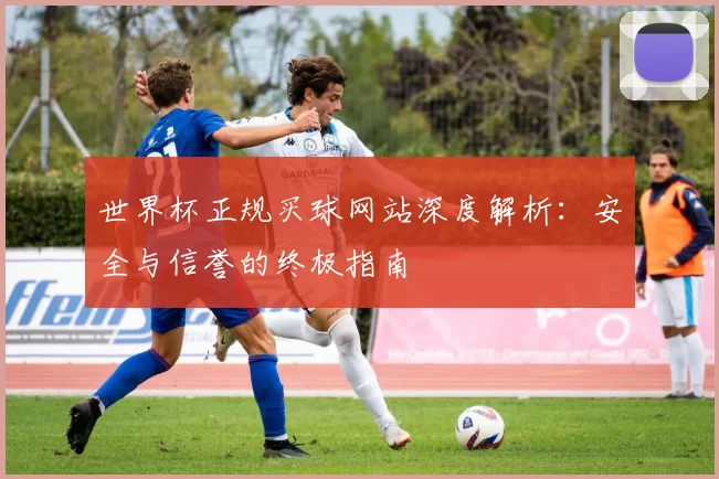 世界杯正规买球网站深度解析：安全与信誉的终极指南