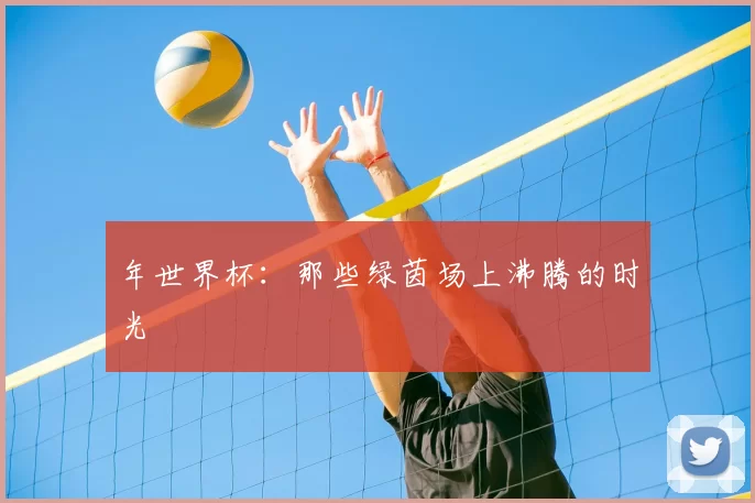 年世界杯：那些绿茵场上沸腾的时光