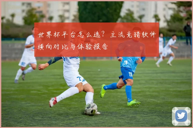 世界杯平台怎么选？主流竞猜软件横向对比与体验报告